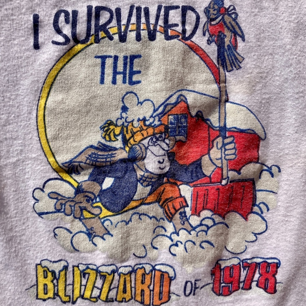 Vintage I Survived the Blizzard of 1978 Graphic T-shirt '78 Kitsch Snowstorm